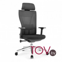 Situp Defender chrome (сетка black/black)